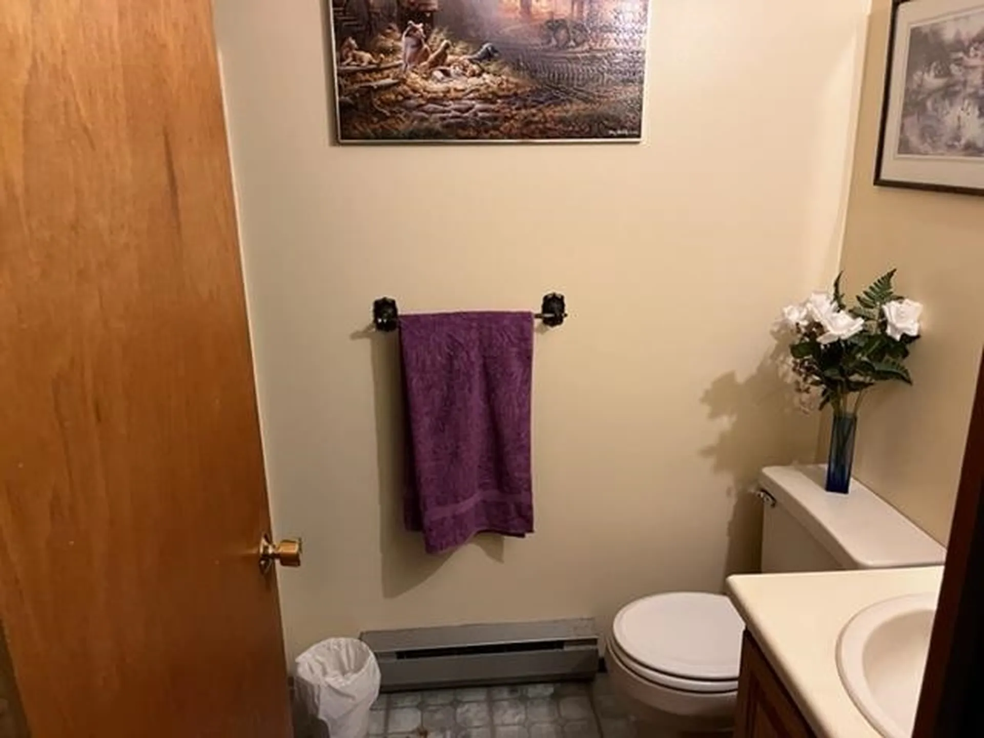 106 Colton Place Williston VT 05495