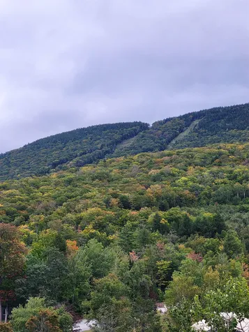 22 South Mountain Drive Lincoln NH 03251
