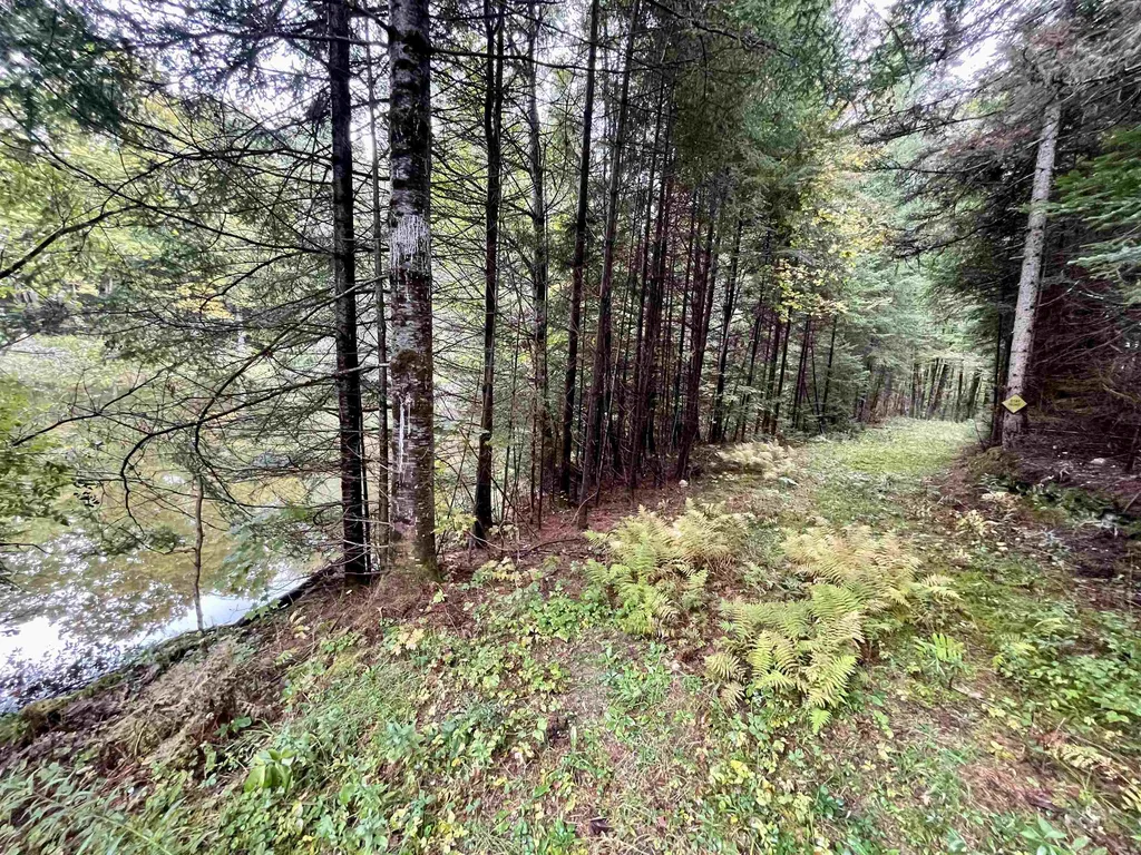 507 Cheney Four Corner Road Newbury VT 05051