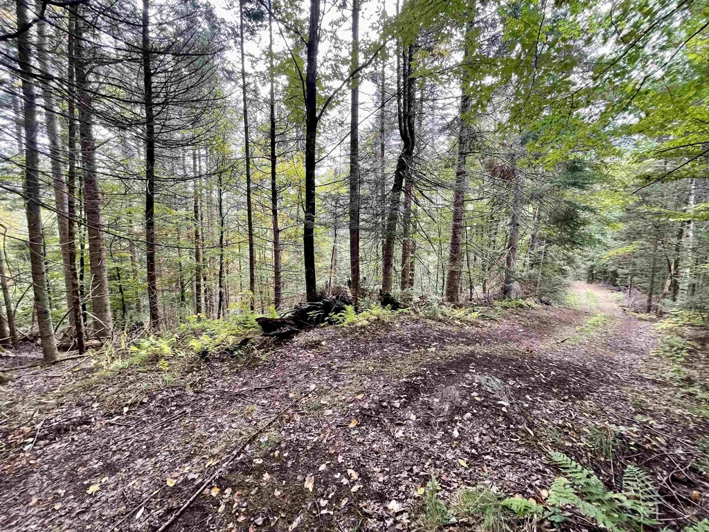 507 Cheney Four Corner Road Newbury VT 05051