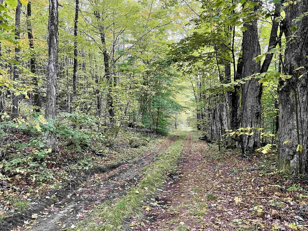 507 Cheney Four Corner Road Newbury VT 05051