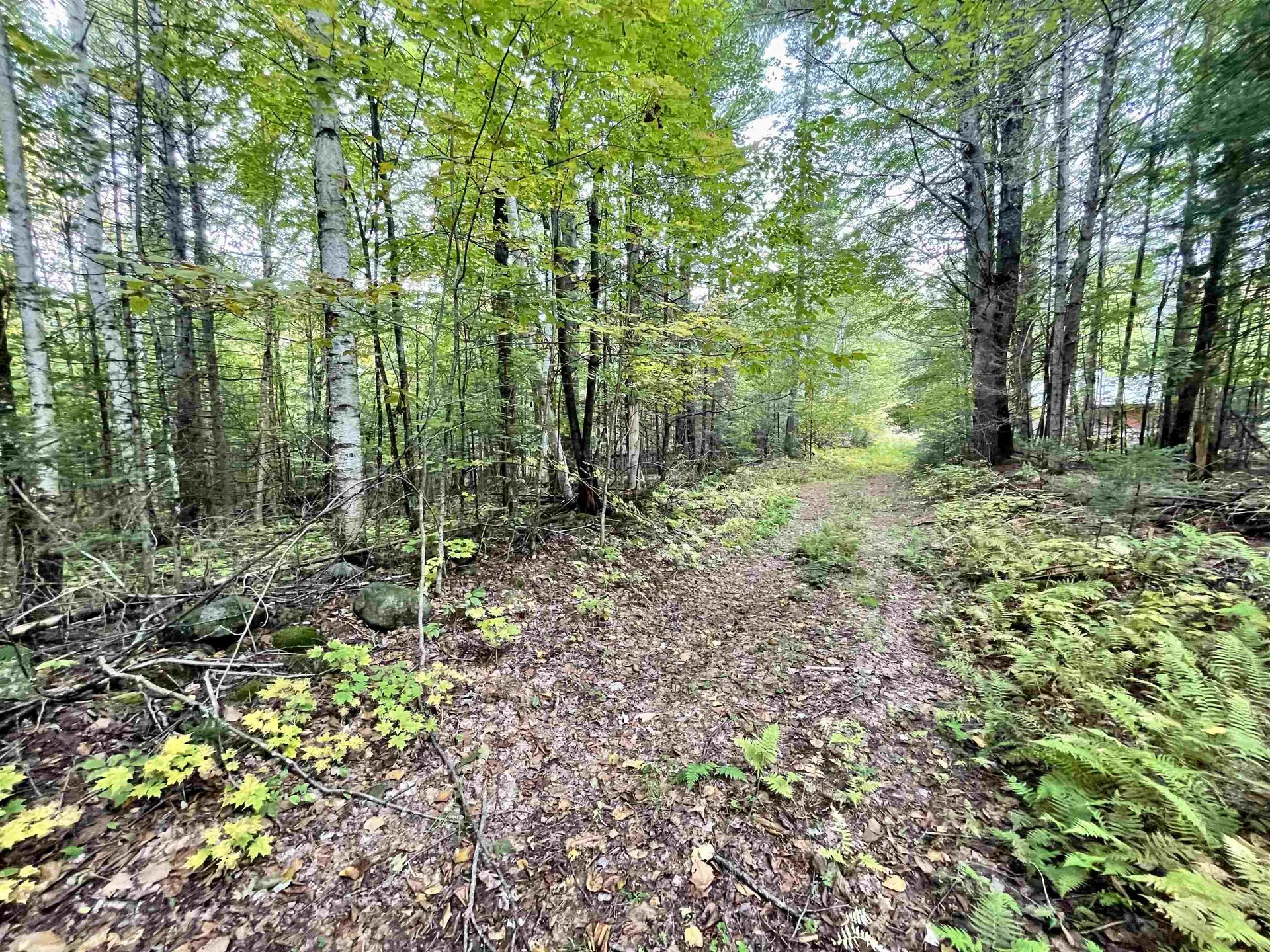 507 Cheney Four Corner Road Newbury VT 05051