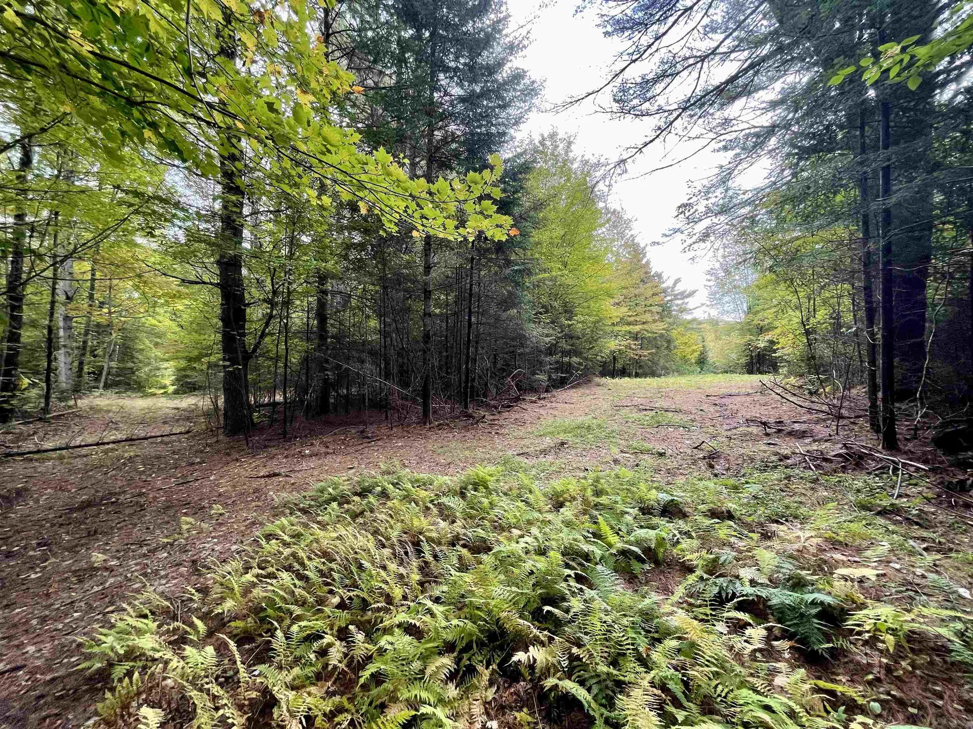 507 Cheney Four Corner Road Newbury VT 05051