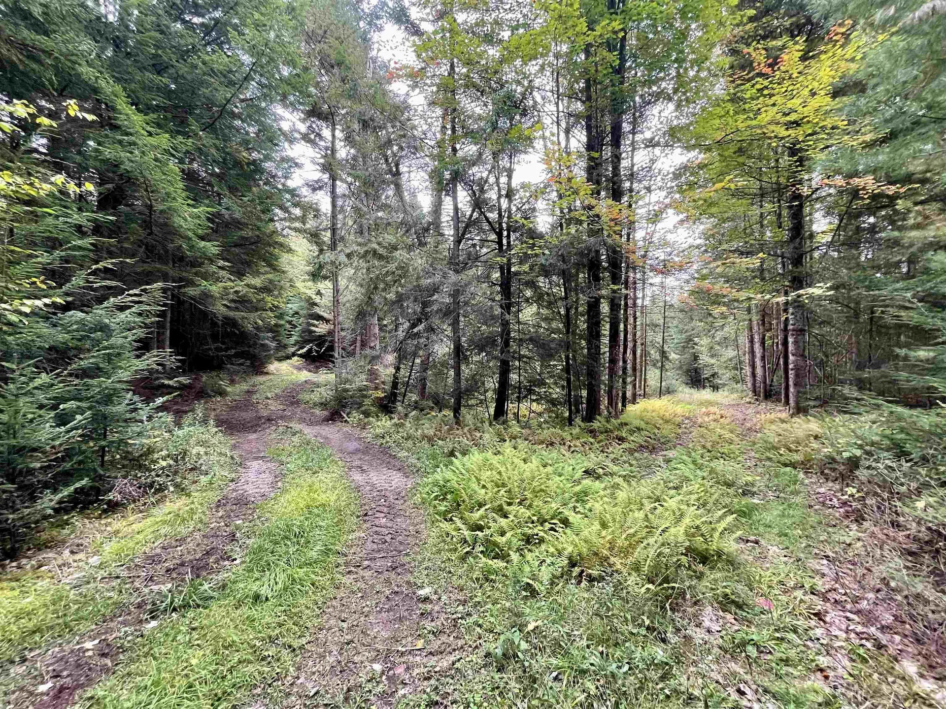 507 Cheney Four Corner Road Newbury VT 05051