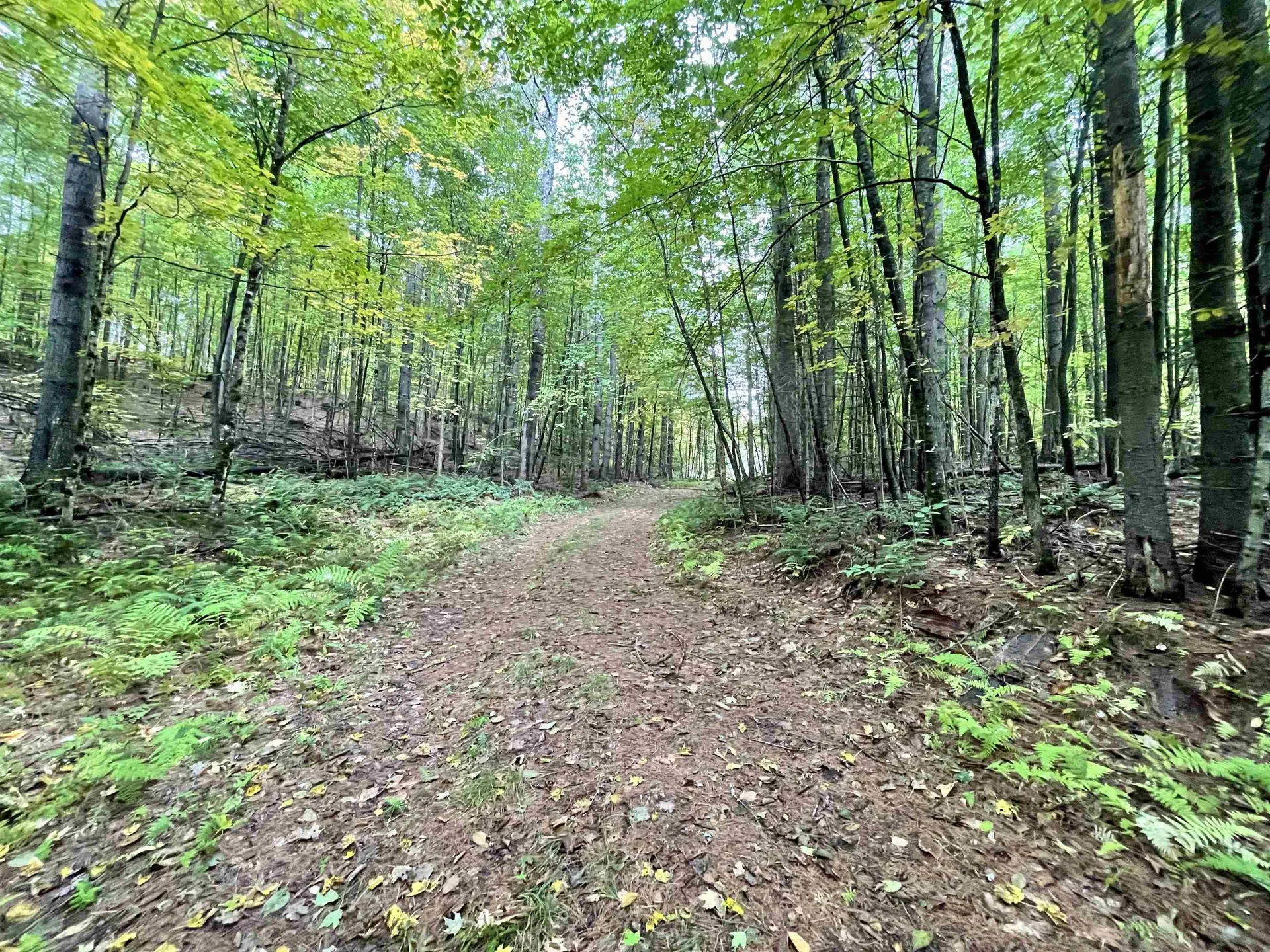 507 Cheney Four Corner Road Newbury VT 05051