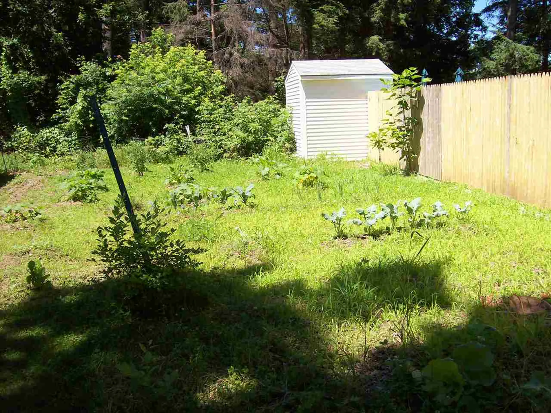 85 Grove Street Claremont NH 03743