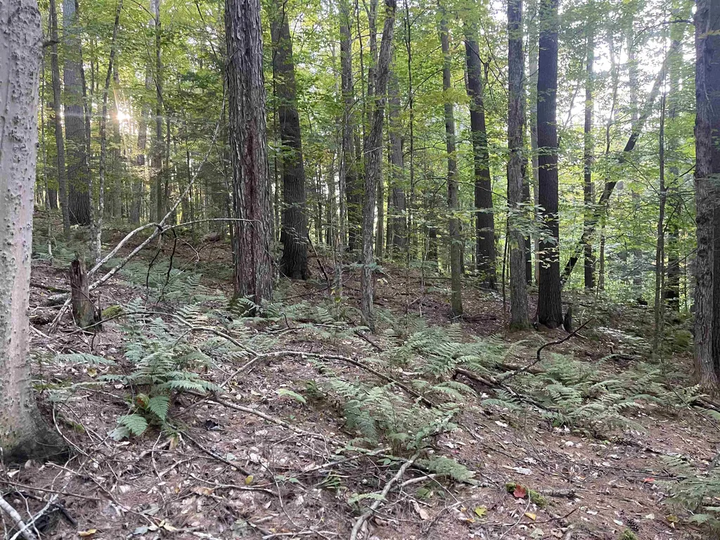0 Fox Lane Hartford VT 05059