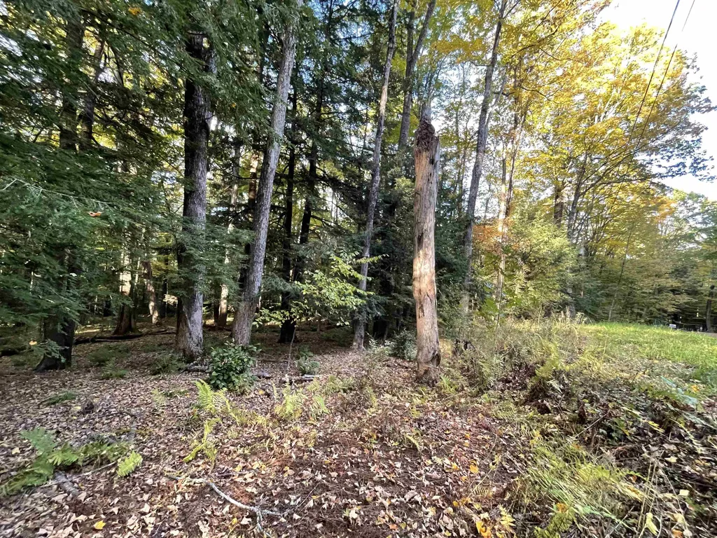 0 Fox Lane Hartford VT 05059