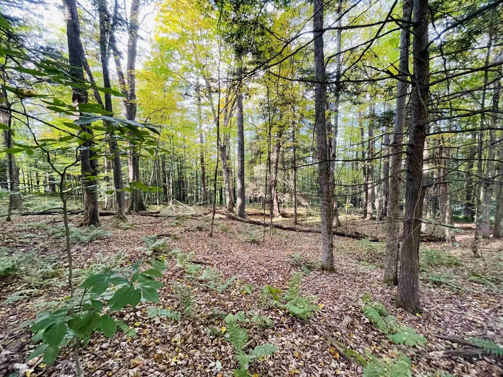 0 Fox Lane Hartford VT 05059