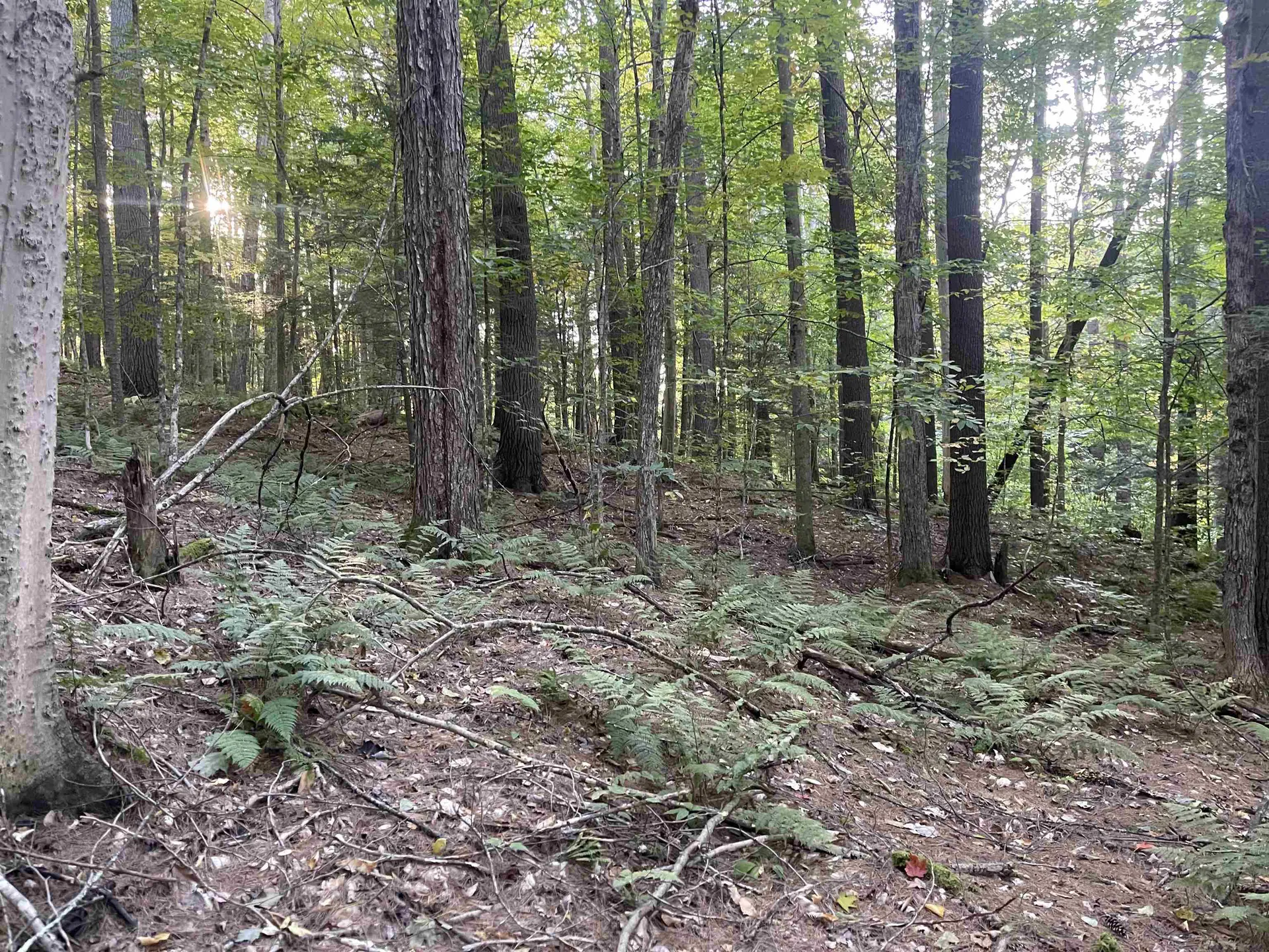 0 Fox Lane Hartford VT 05059