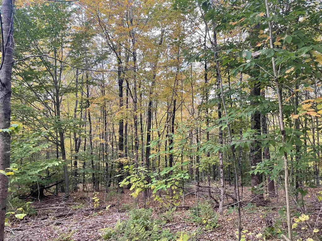 00 Russell Road Tunbridge VT 05077