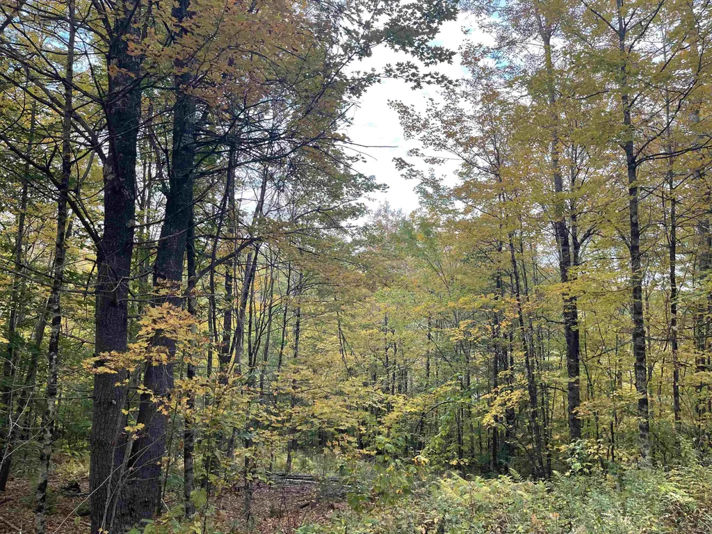 00 Russell Road Tunbridge VT 05077