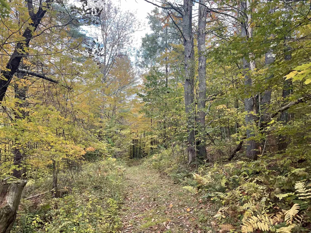 00 Russell Road Tunbridge VT 05077