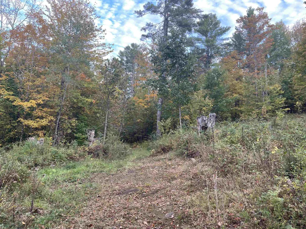 00 Russell Road Tunbridge VT 05077