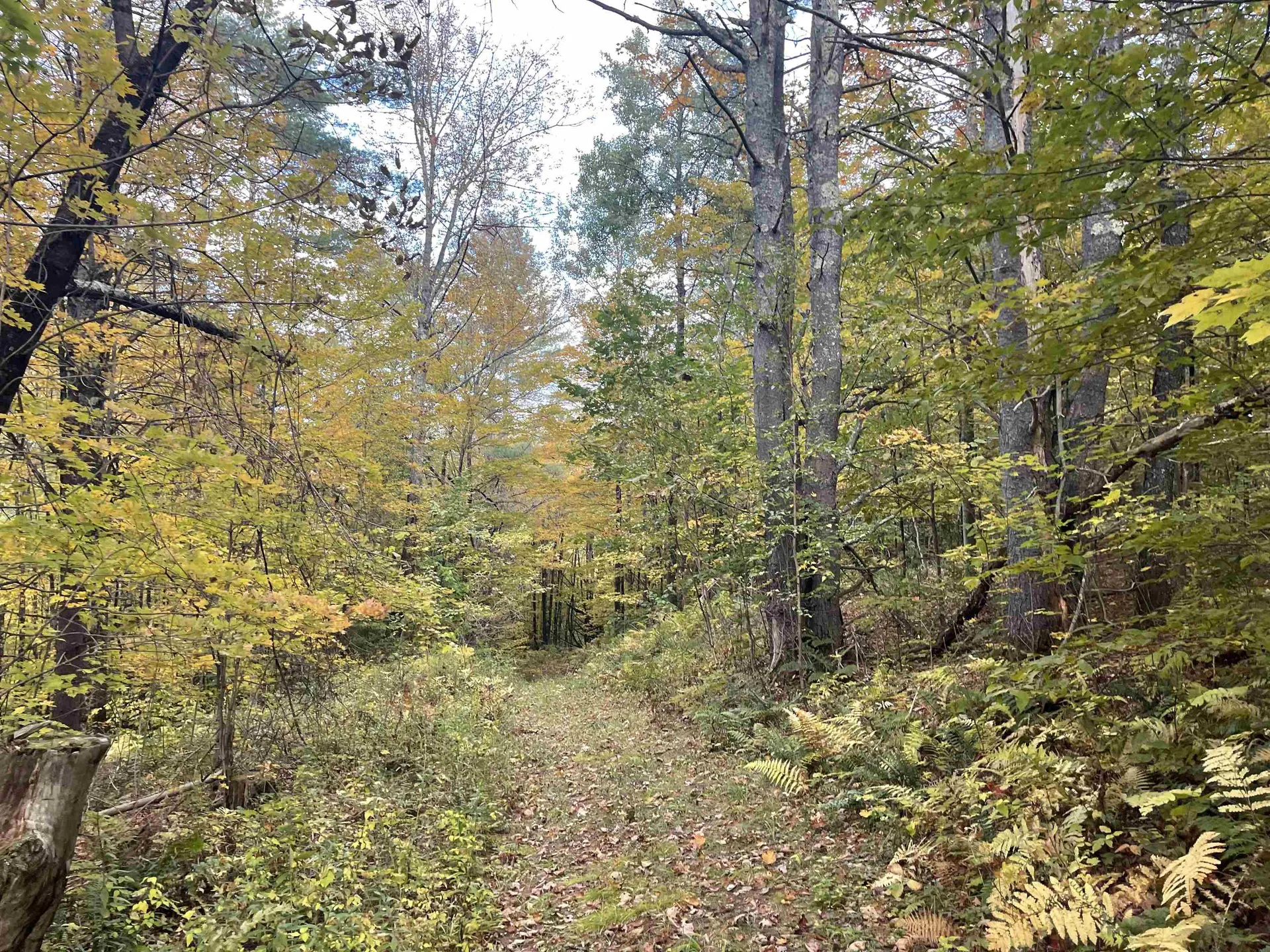 00 Russell Road Tunbridge VT 05077