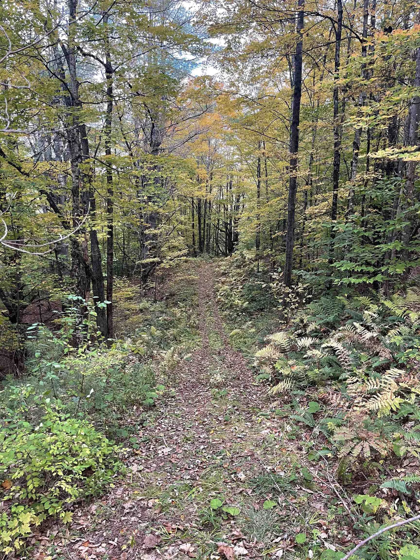 00 Russell Road Tunbridge VT 05077