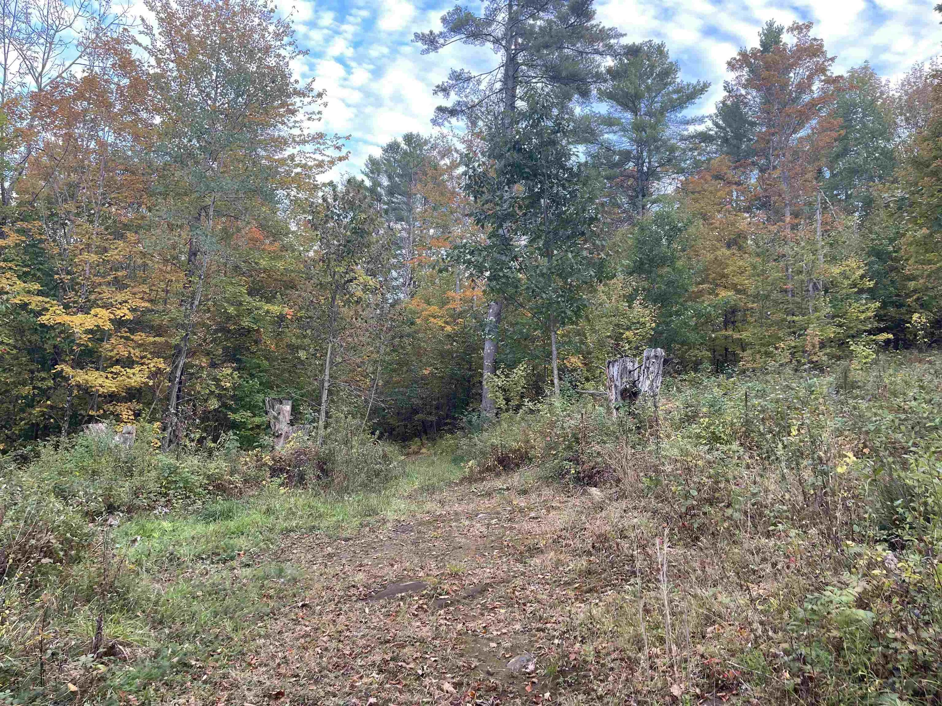 00 Russell Road Tunbridge VT 05077