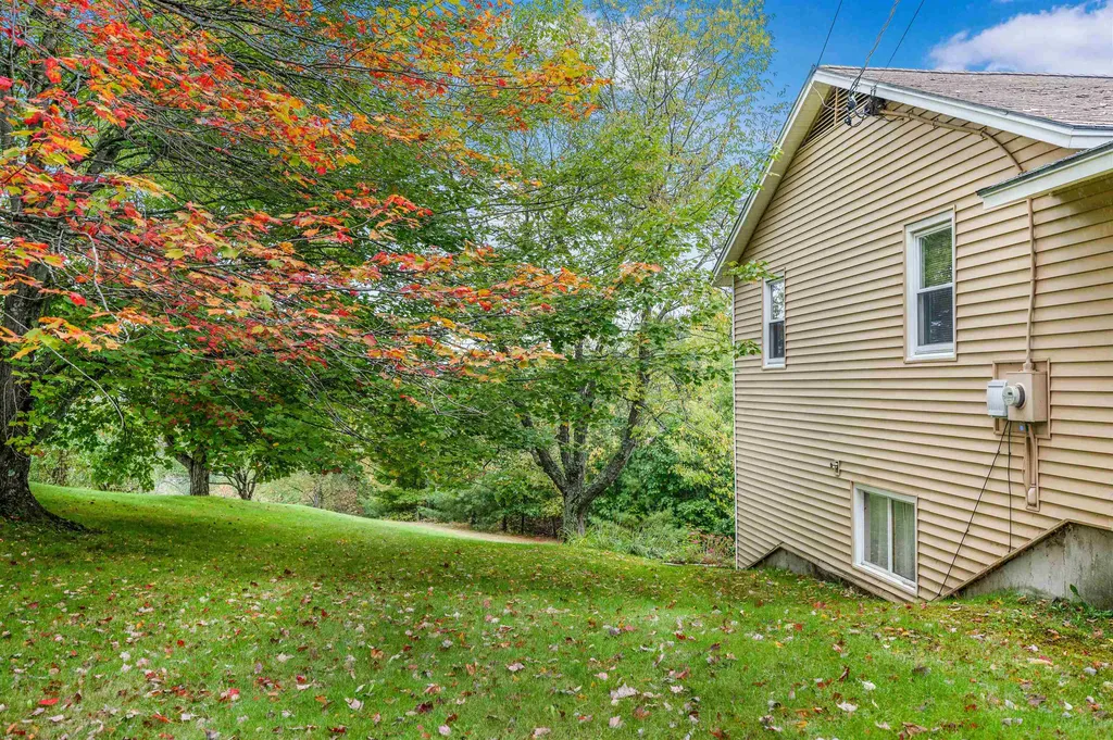 22 Platinum Plain Barre Town VT 05641
