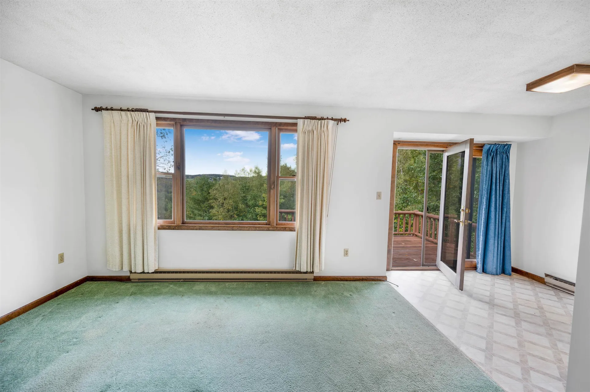 22 Platinum Plain Barre Town VT 05641