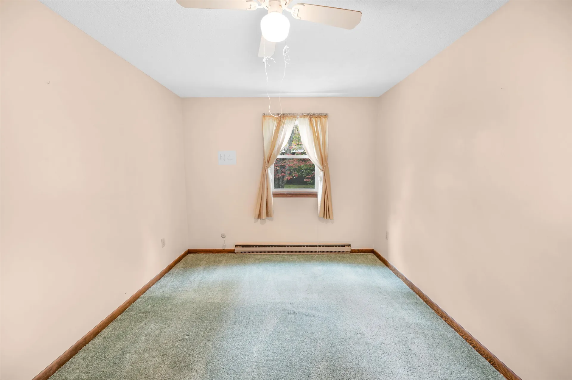 22 Platinum Plain Barre Town VT 05641