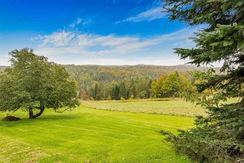 91 Hays Drive Hardwick VT 05843