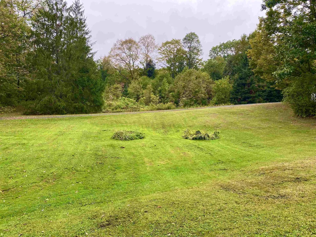 880 College Hill Road Woodstock VT 05091