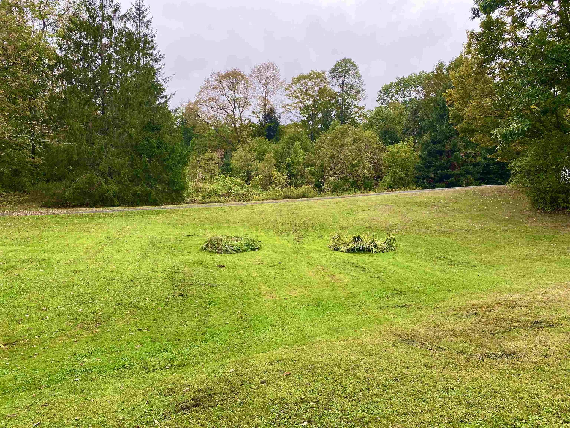 880 College Hill Road Woodstock VT 05091