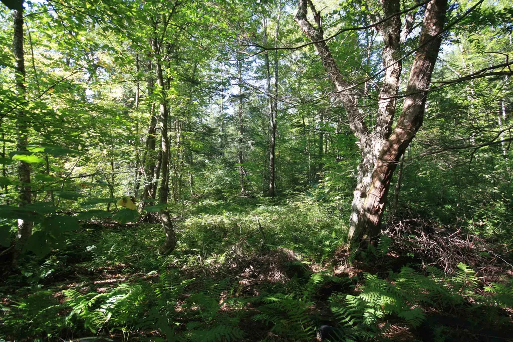 483 Otto Merrill Road Royalton VT 05068