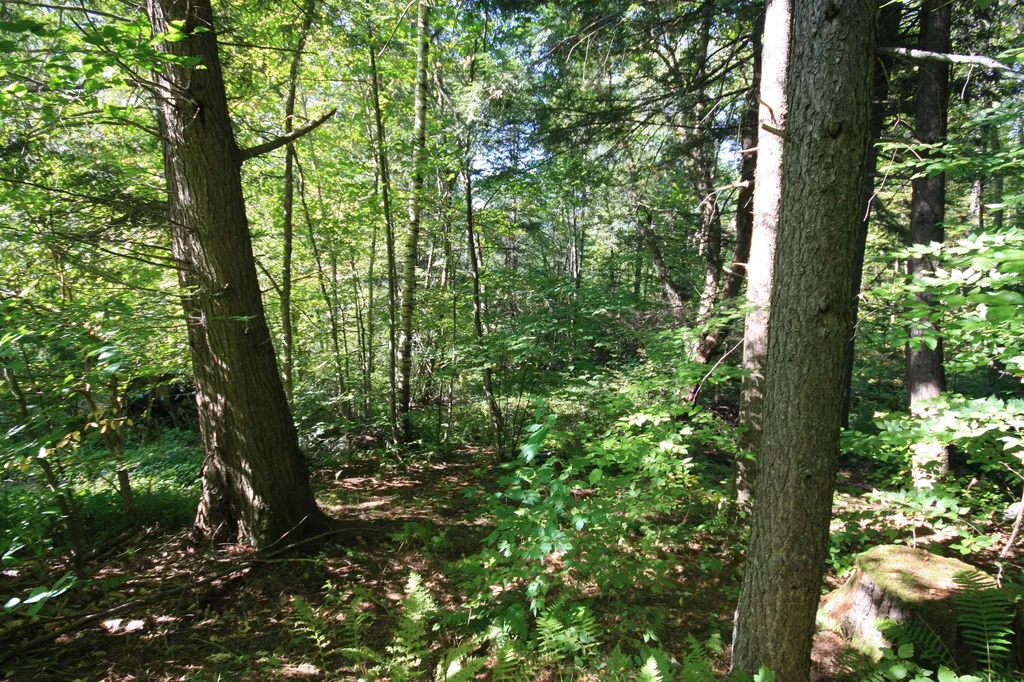 483 Otto Merrill Road Royalton VT 05068