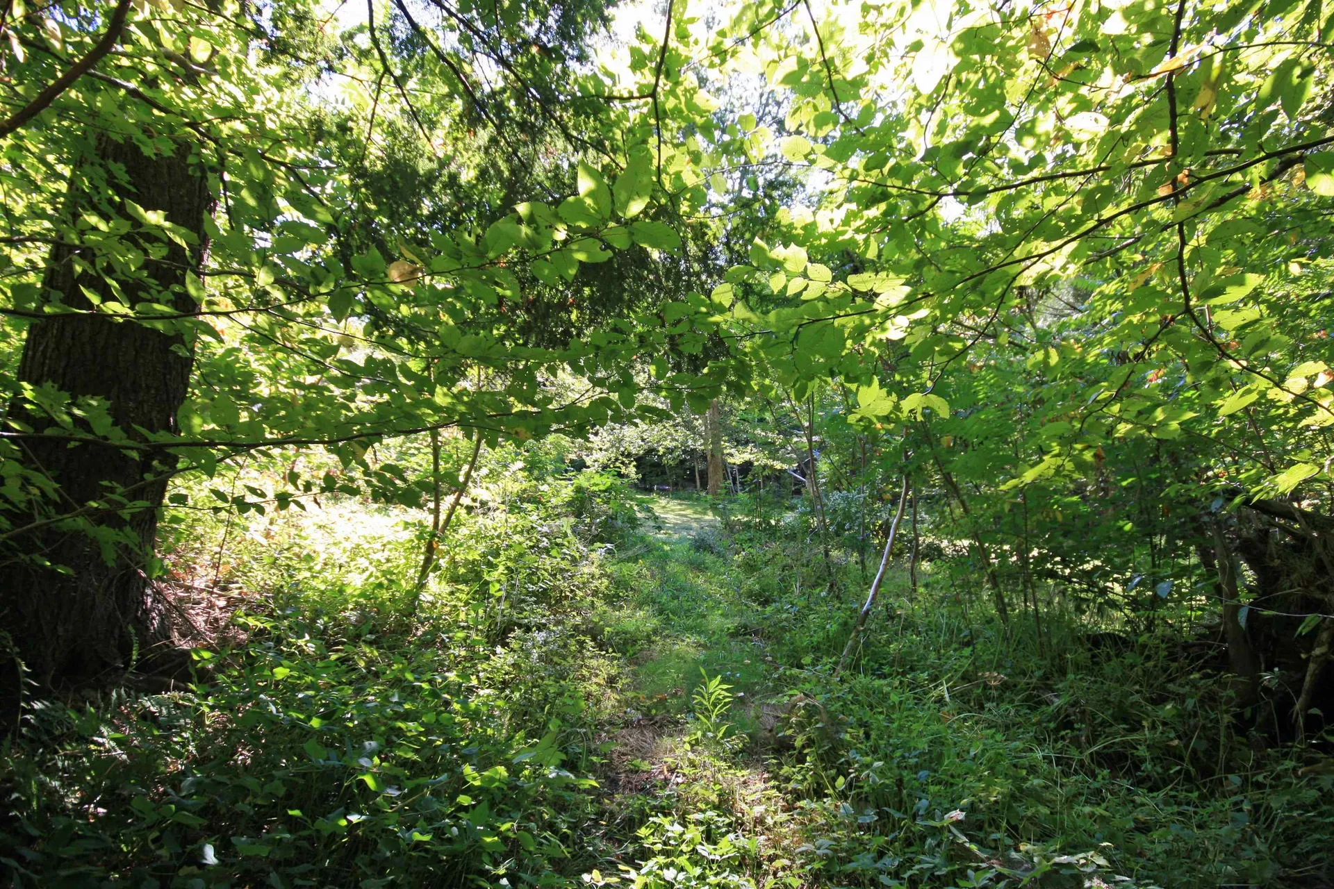 483 Otto Merrill Road Royalton VT 05068