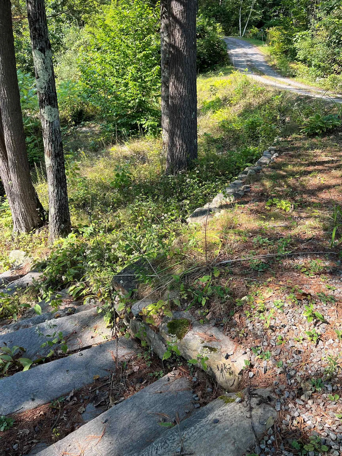 48 Legion Road Newfane VT 05345