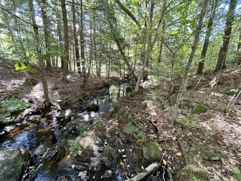 675 Boltonville Road Ryegate VT 05069