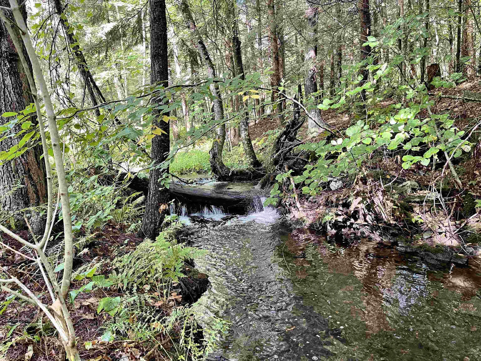 675 Boltonville Road Ryegate VT 05069