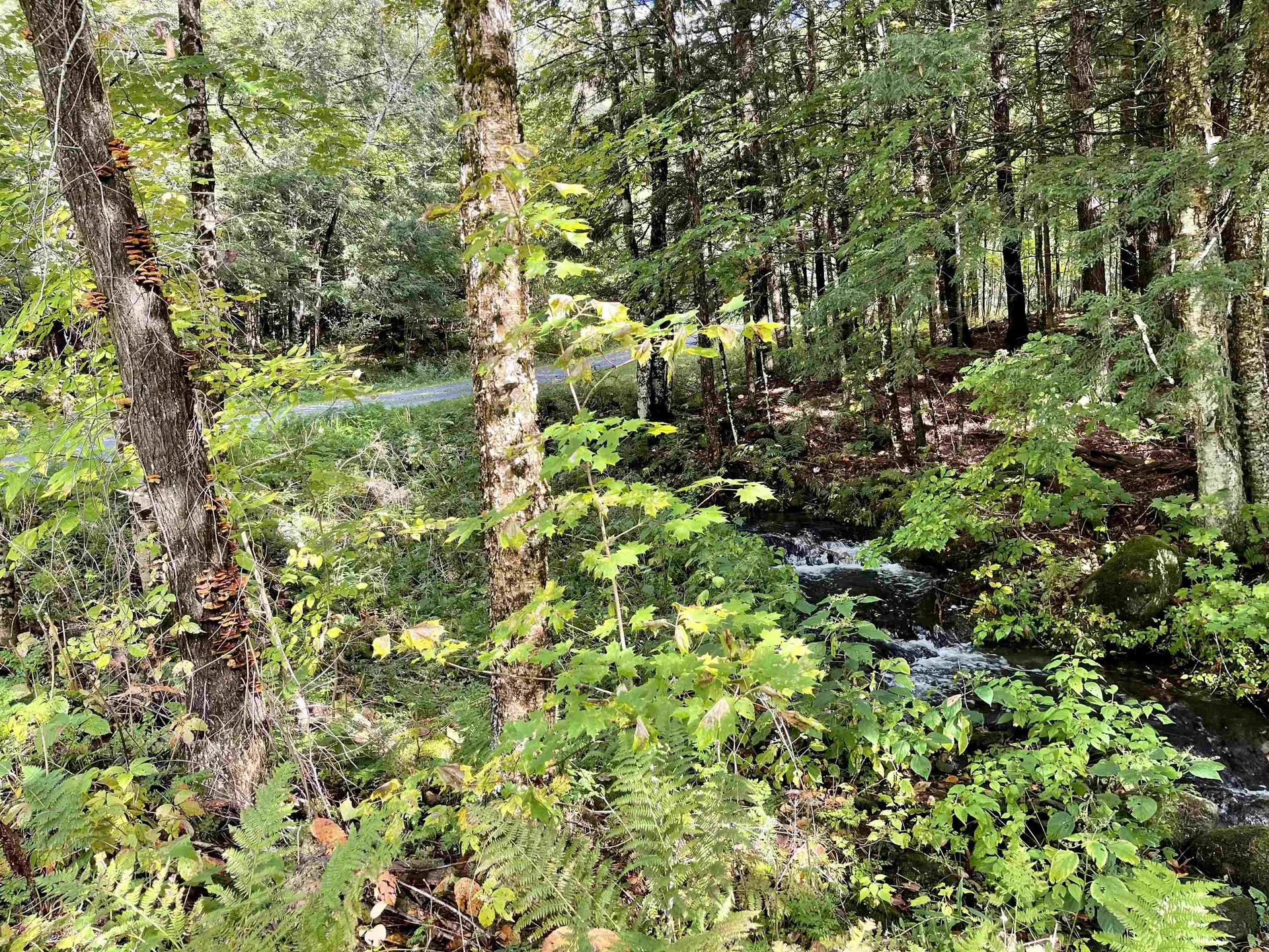675 Boltonville Road Ryegate VT 05069