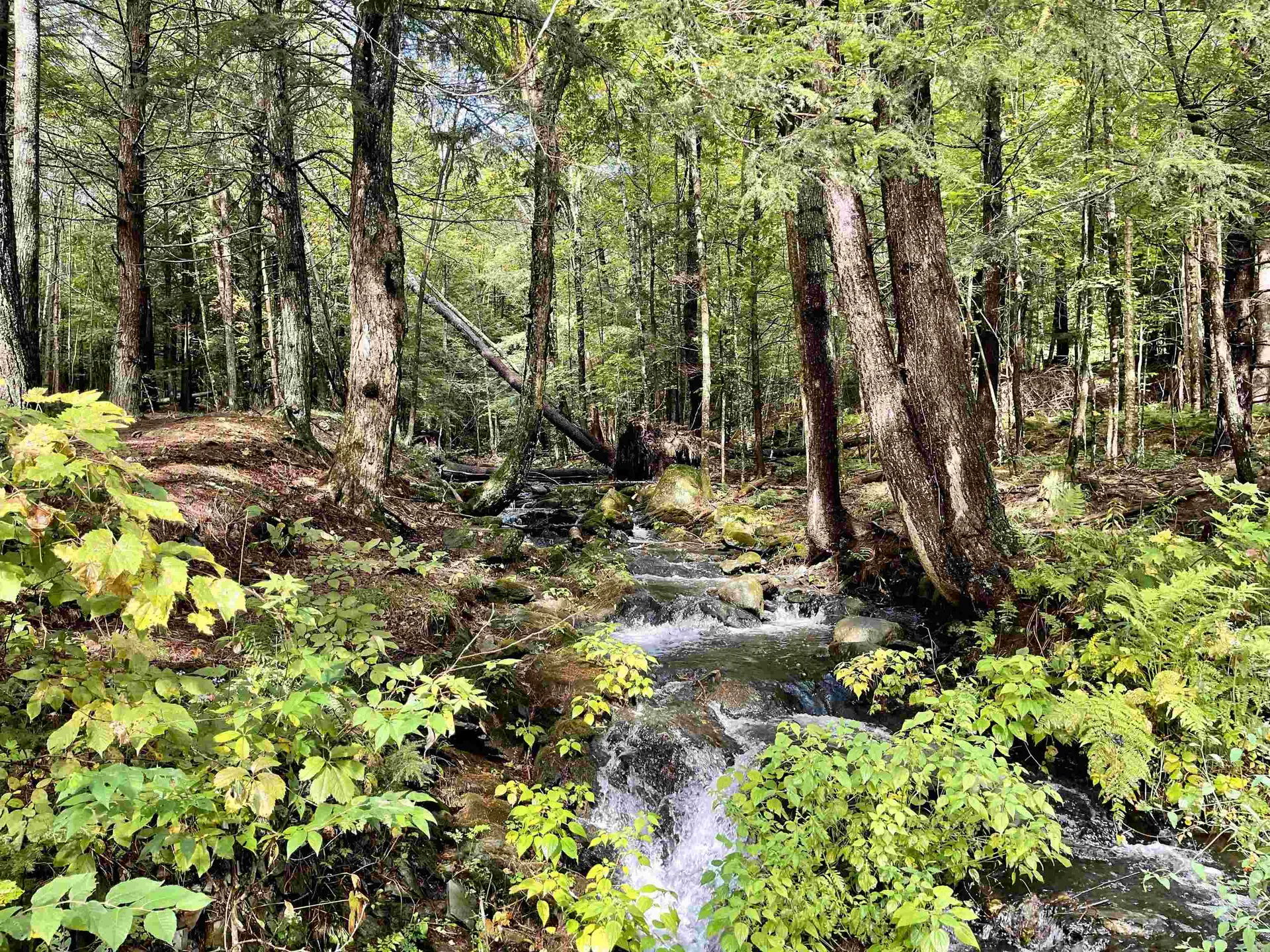 675 Boltonville Road Ryegate VT 05069