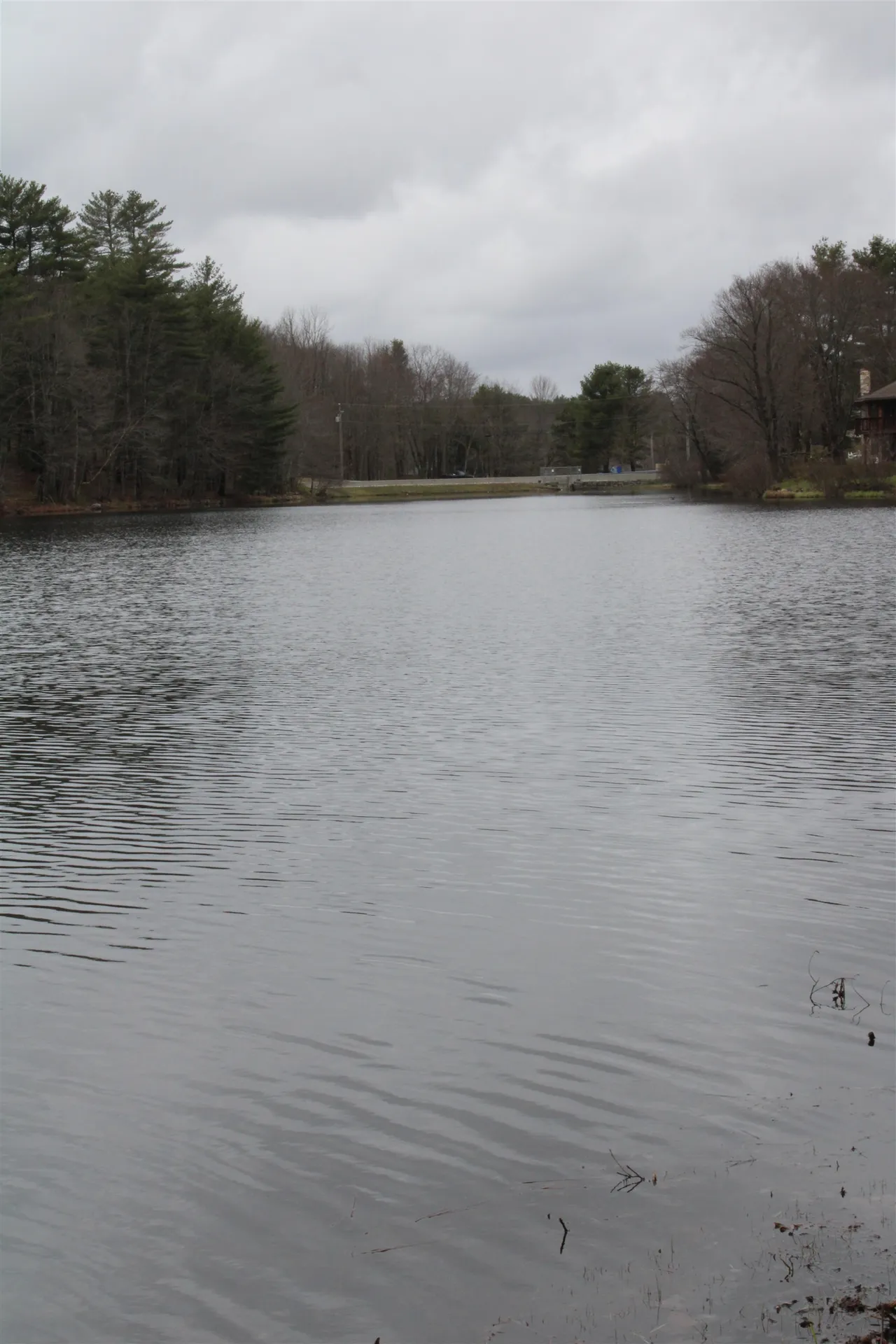 12 Pippen Lane Pittsfield NH 03263