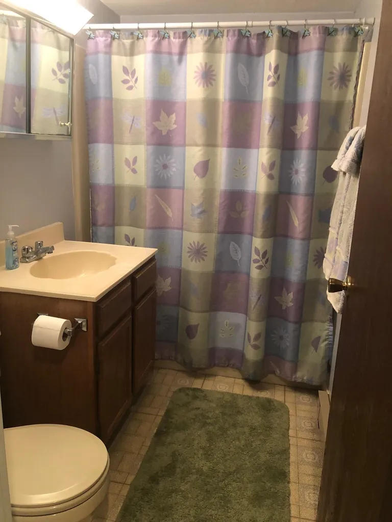 6 Monroe Drive Woodstock NH 03262