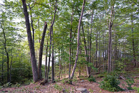 55 East Side Drive Ossipee NH 03814