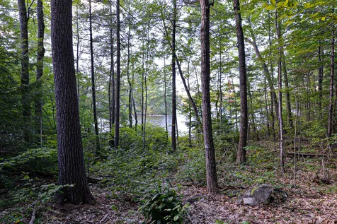55 East Side Drive Ossipee NH 03814