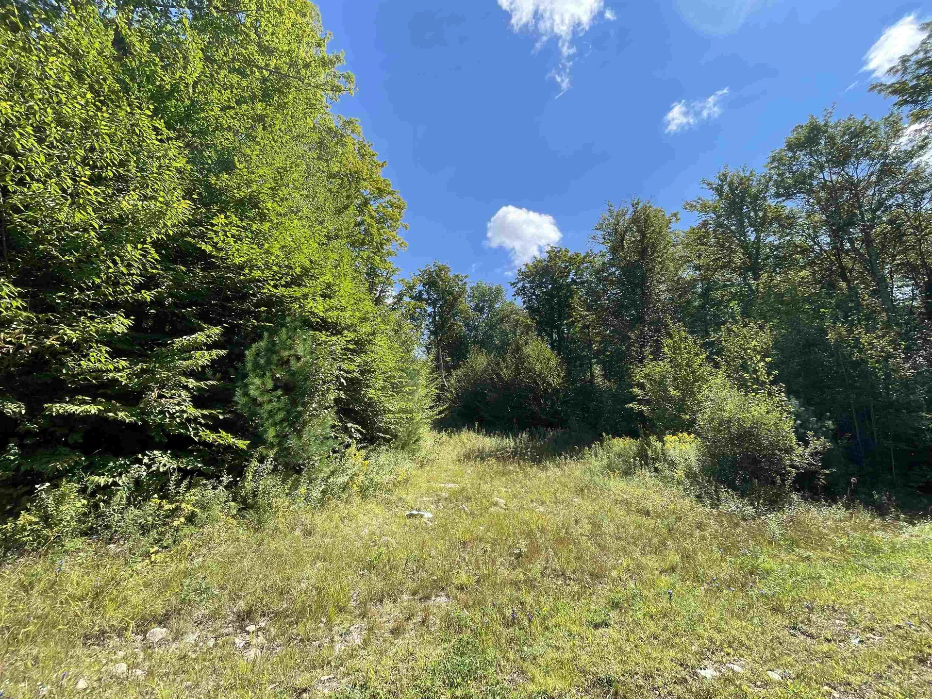 1751 Under The Mountain Road Londonderry VT 05155