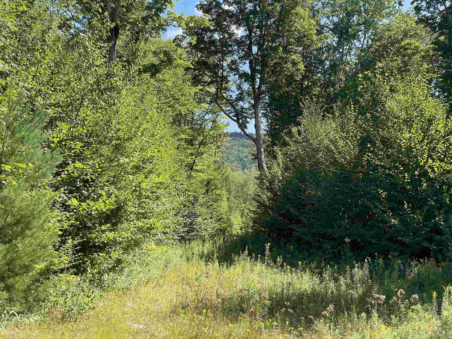 1751 Under The Mountain Road Londonderry VT 05155
