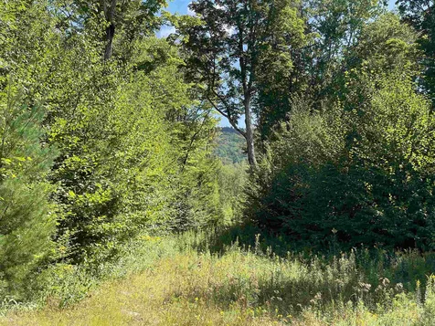 1751 Under The Mountain Road Londonderry VT 05155