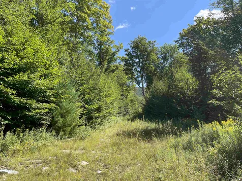 1751 Under The Mountain Road Londonderry VT 05155