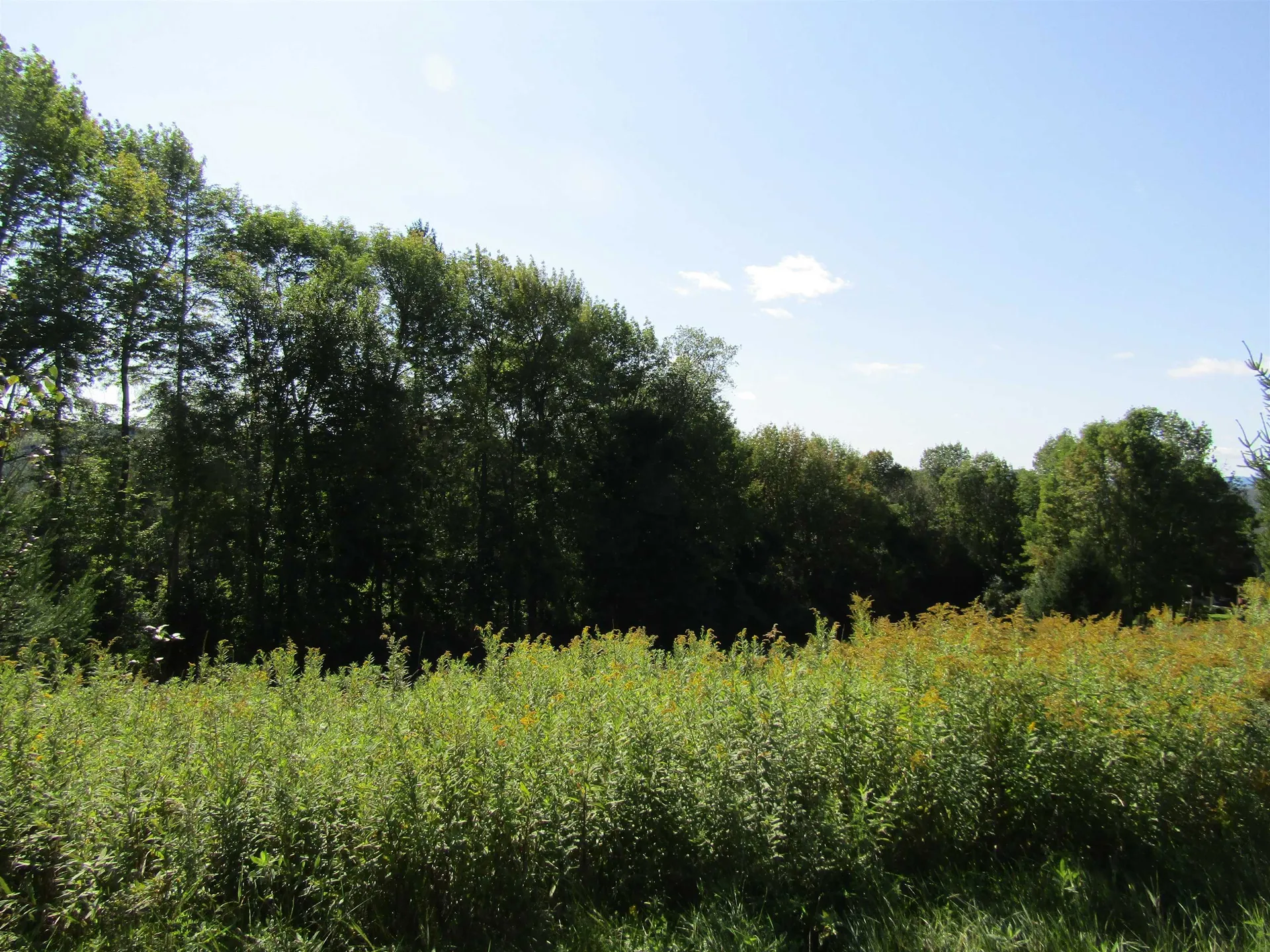 Lot 3 Buena Vista Circle Barre Town VT 05641
