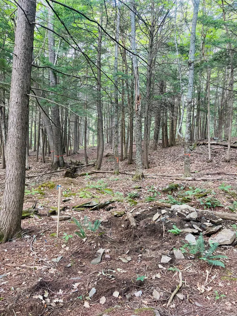 890 Baker Turn Hartford VT 05059