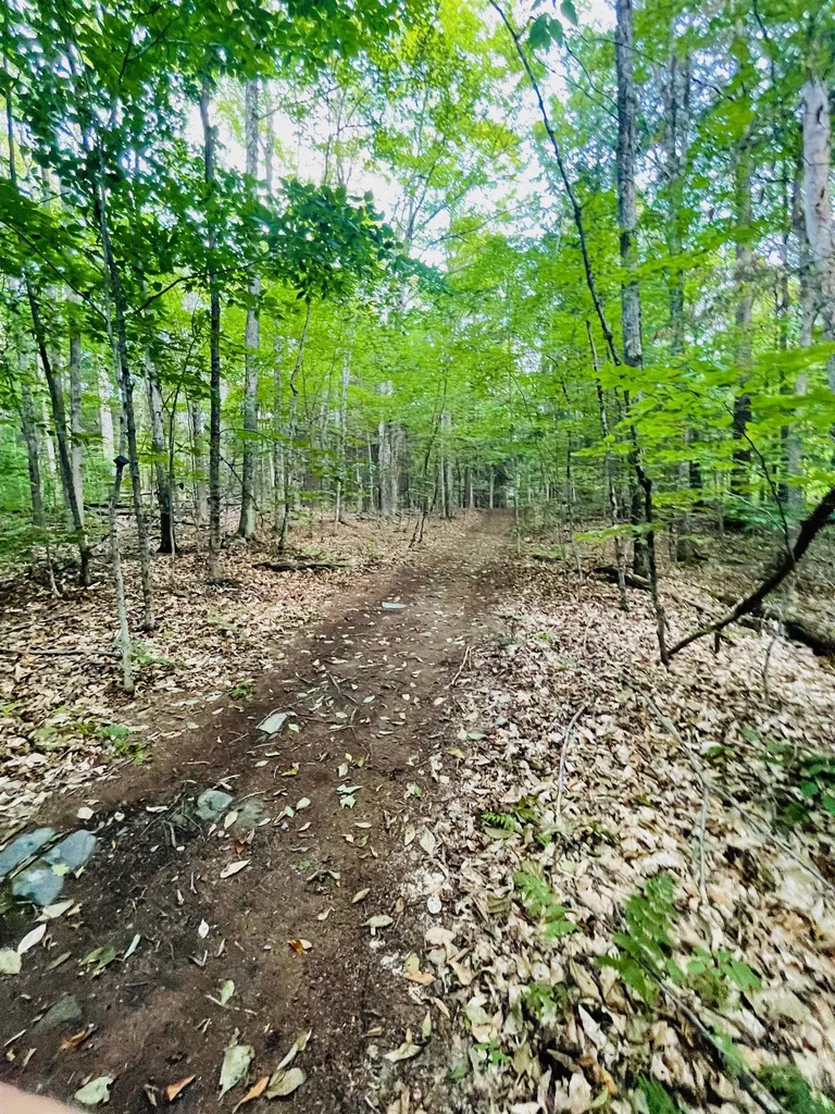 890 Baker Turn Hartford VT 05059