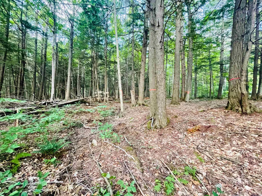 890 Baker Turn Hartford VT 05059