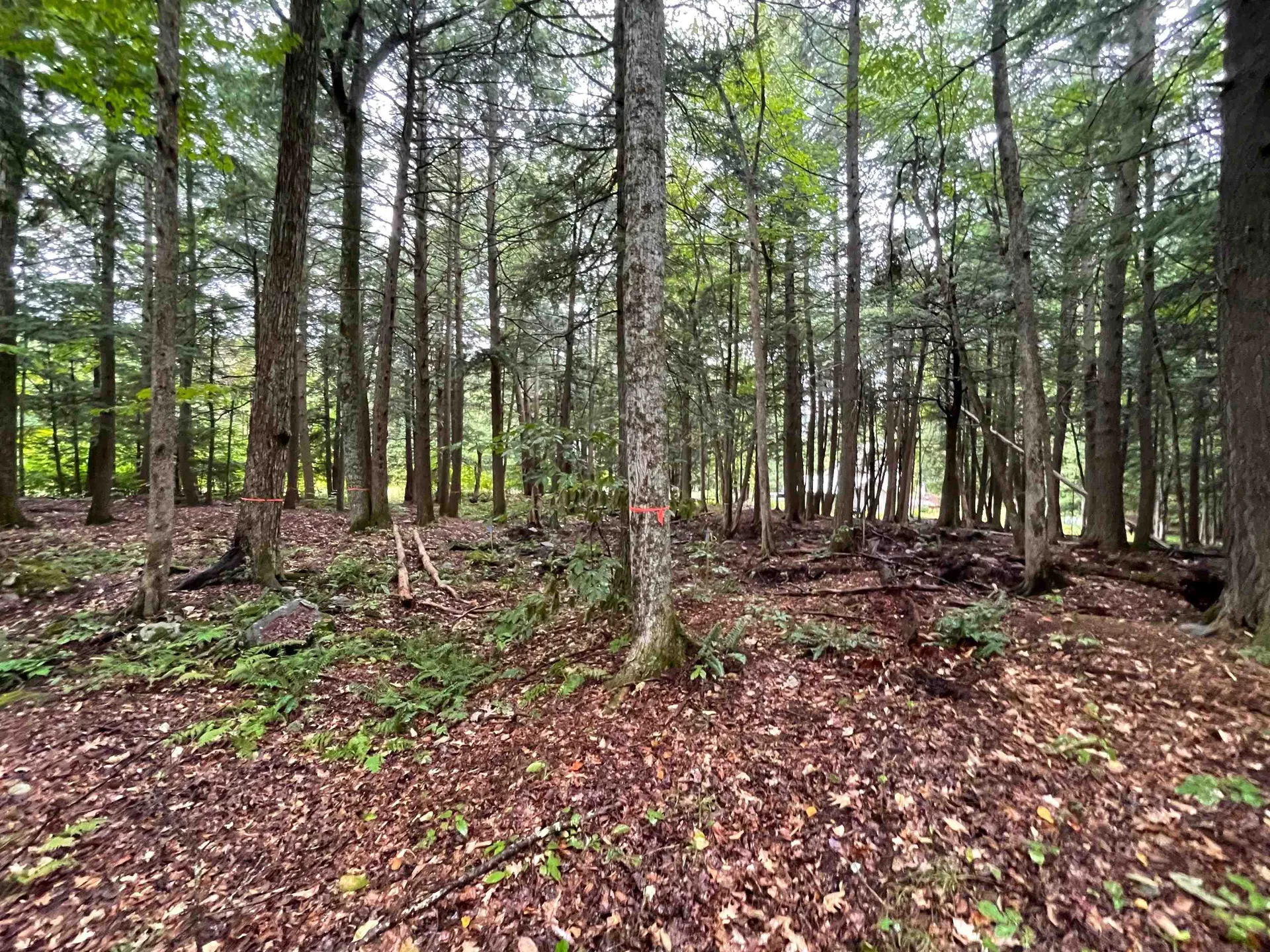 890 Baker Turn Hartford VT 05059