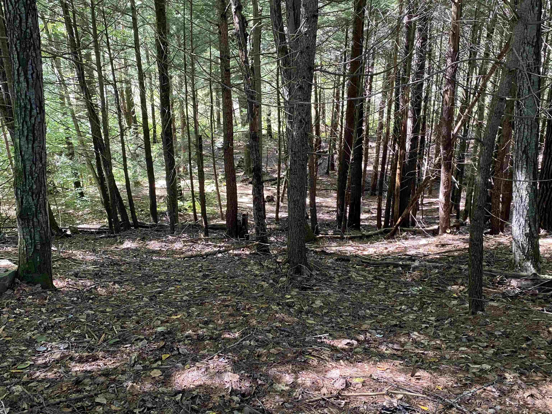 203 Hillwinds Road Brattleboro VT 05301