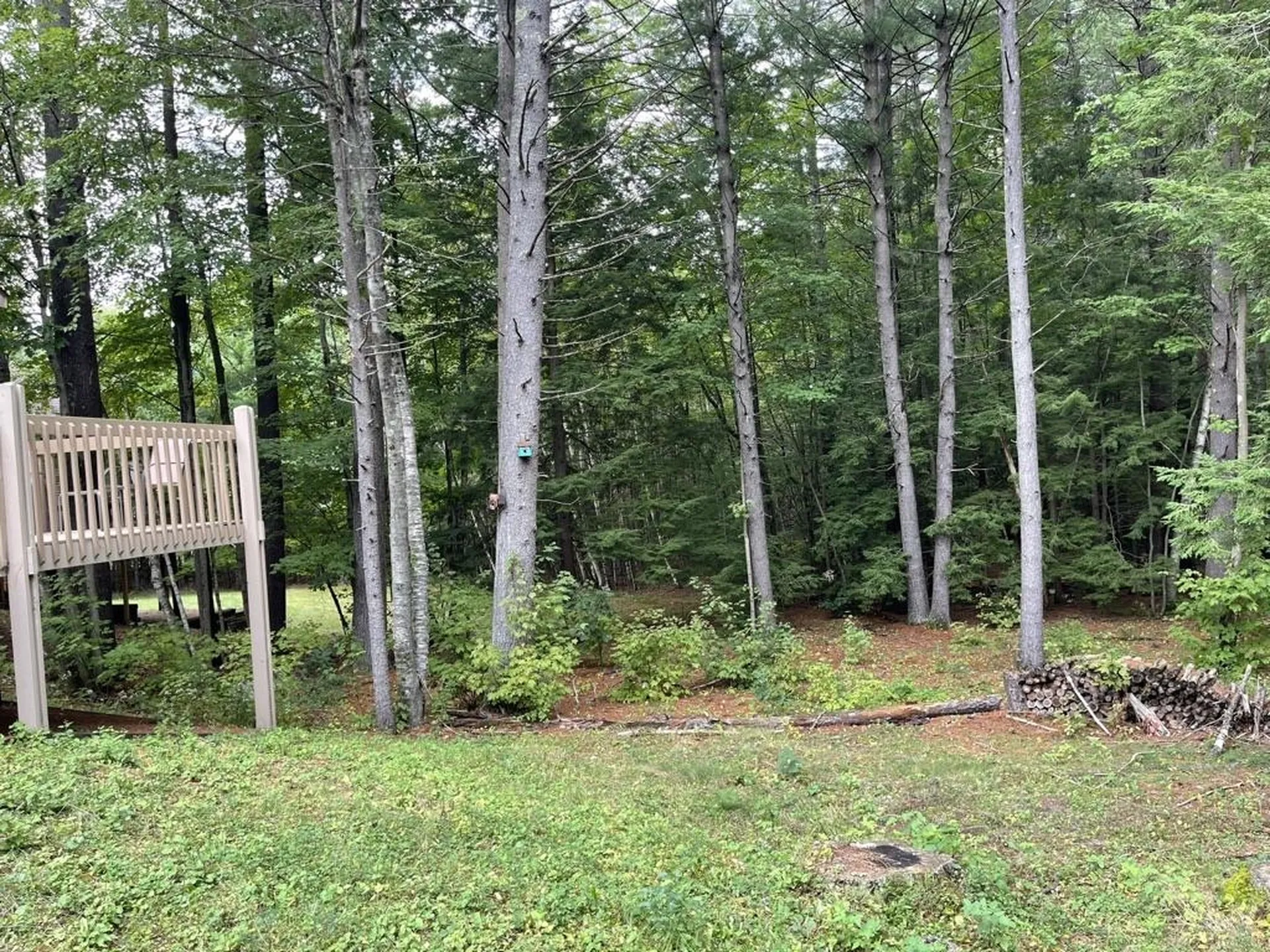 5 Tanager Court Merrimack NH 03054